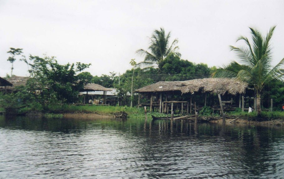 Delta del Orinoco, Delta Amacuro State, Venezuela